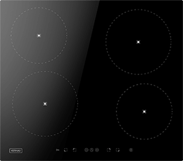 Induktionsfeld Reparatur Blieskastel
